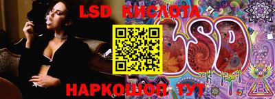 гидра Краснознаменск