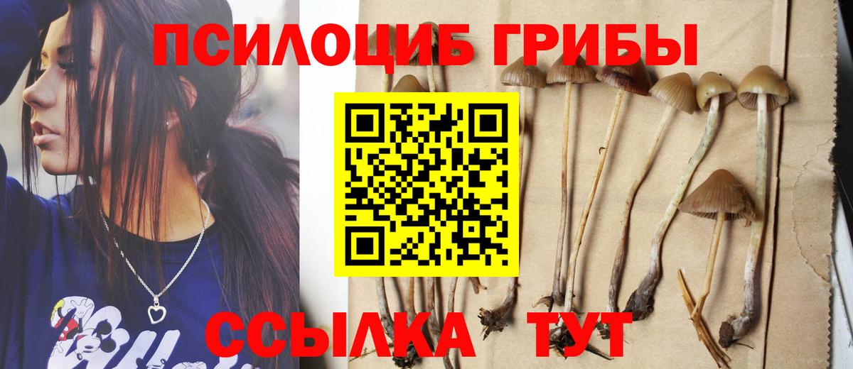 Галлюциногенные грибы Cubensis  Вход с VPN  Зеленокумск 