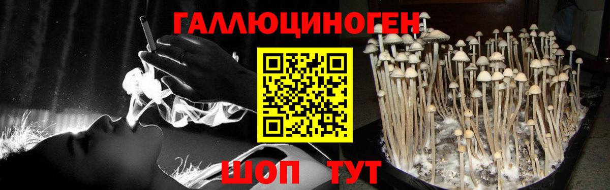 Псилоцибиновые грибы прущие грибы Зеленокумск